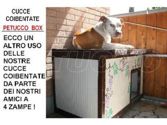 Cuccia coibentata