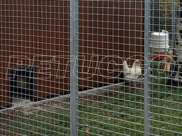 box pollaio coibentato da giardino adibito a pollaio uso pollaio con recinzione zincata esterna